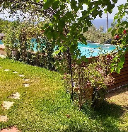 Teresa Villa *