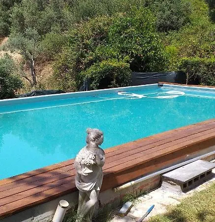 Teresa Villa *